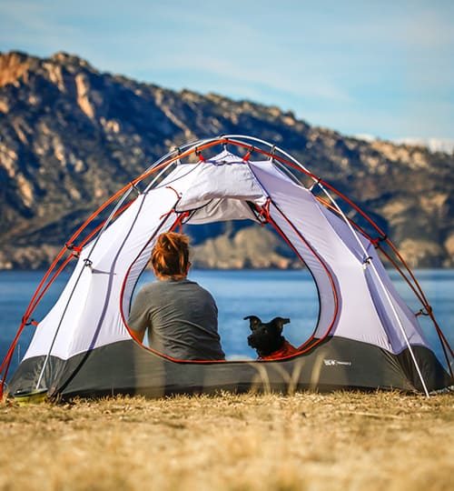 camping- a girl and a dog enjoying camping